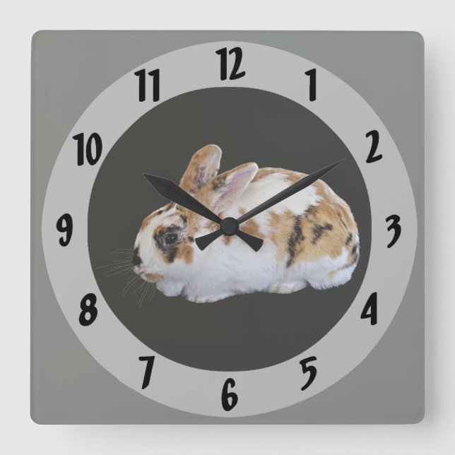 Reloj Cuadrado Calico Rabbit (Anverso)