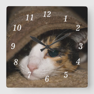 Reloj Cuadrado Calico Taco Wall Clock
