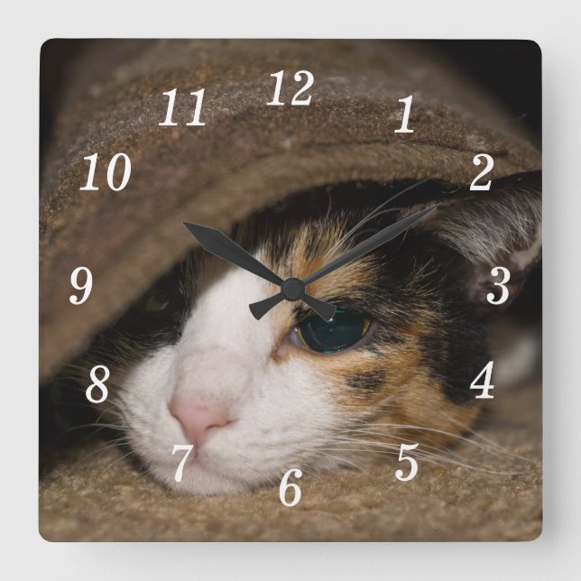 Reloj Cuadrado Calico Taco Wall Clock (Anverso)