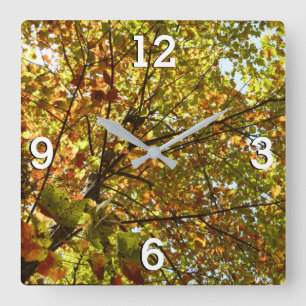 Reloj Cuadrado Cambiante color de otoño verde y dorado del arce