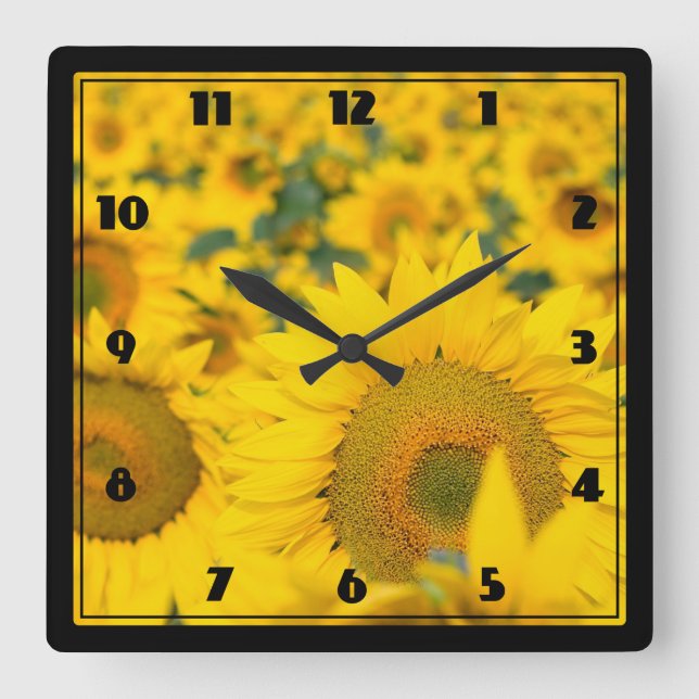Reloj Cuadrado Campo amarillo de girasoles, fotografía (Anverso)