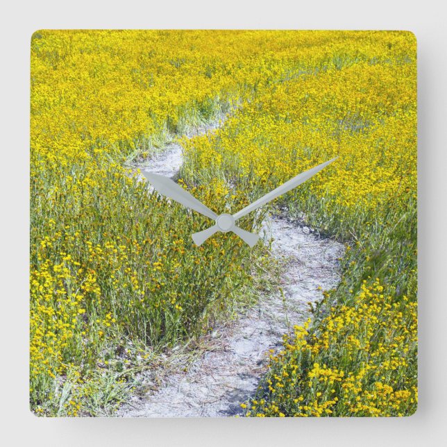 Reloj Cuadrado Campo de flores silvestres amarillas (Anverso)