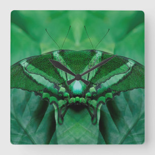 Reloj Cuadrado Canadá, Victoria, Jardines de Mariposas Victoria