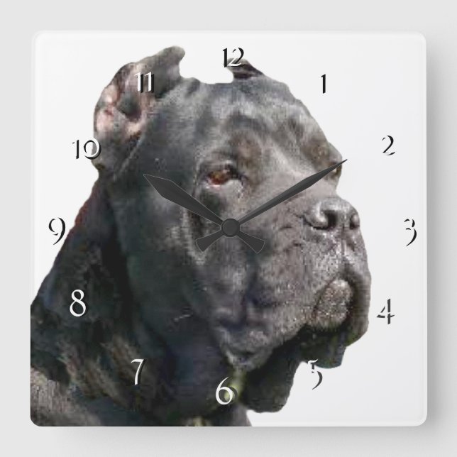 Reloj Cuadrado Cane Corso dog  clock (Anverso)