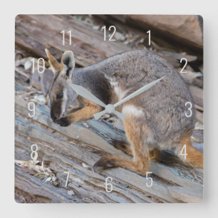 Reloj Cuadrado Canguro Wallaby de Pie Amarillo Australia