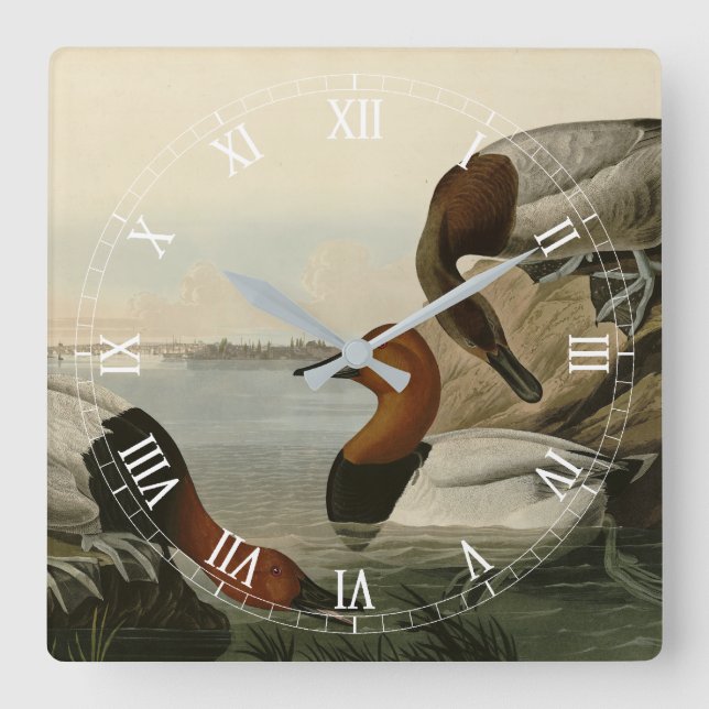 Reloj Cuadrado Canvas respaldaron el pato de los pájaros de Améri (Anverso)