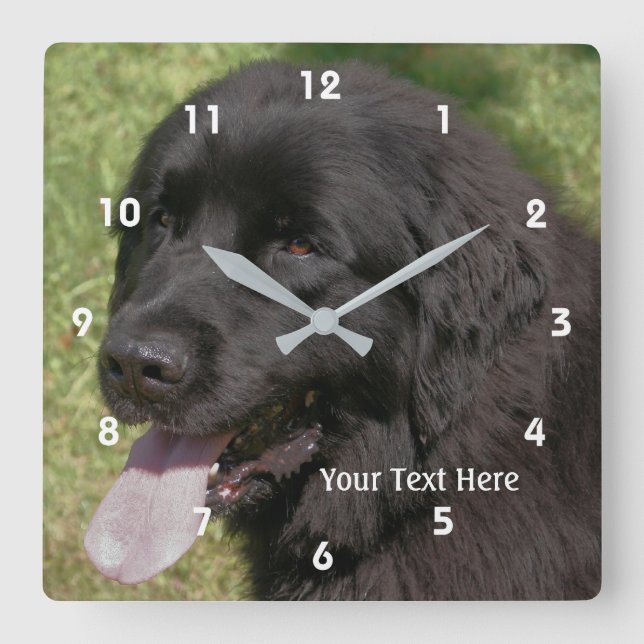 Reloj Cuadrado Cara de perro de Terranova Negra (Anverso)