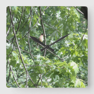 Reloj Cuadrado Cardenal amarillo