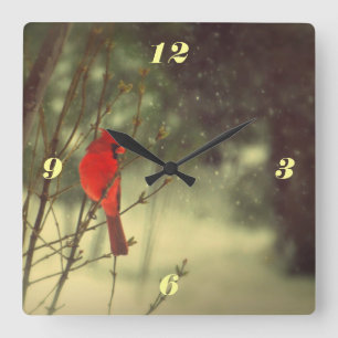 Reloj Cuadrado Cardenal de sexo masculino