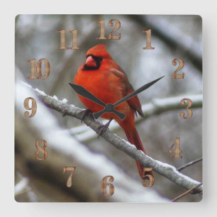 Reloj Cuadrado Cardenal macho