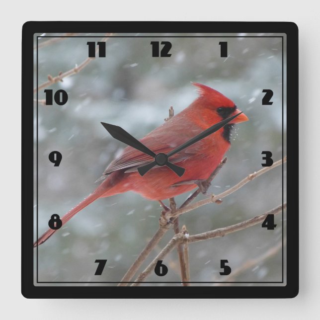 Reloj Cuadrado Cardenal rojo en invierno (Anverso)
