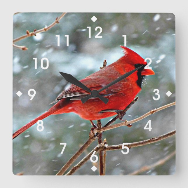 Reloj Cuadrado Cardenal rojo en la nieve de invierno (Anverso)