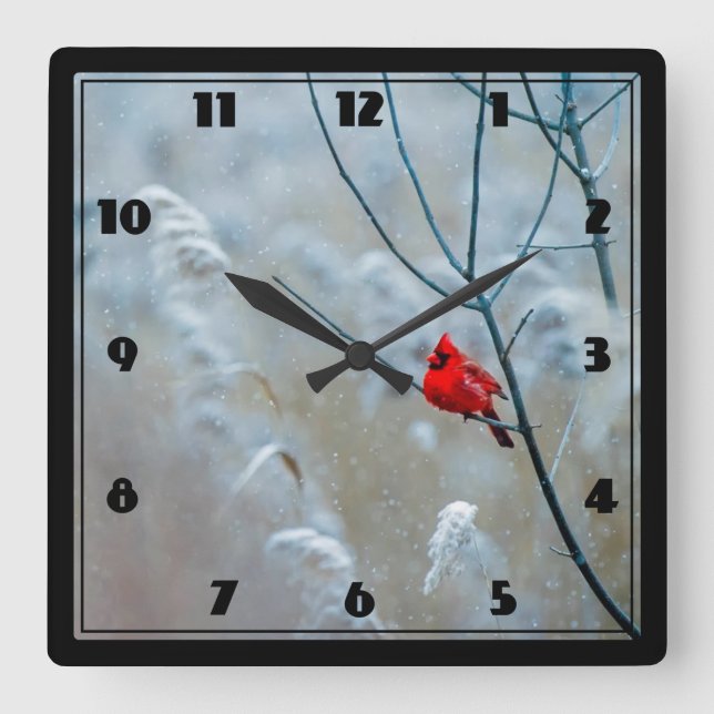 Reloj Cuadrado Cardenal rojo en Navidades de fotografía de natura (Anverso)