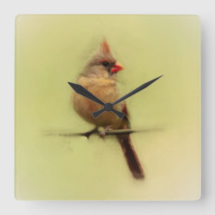 Reloj Cuadrado Cardenal Songbird