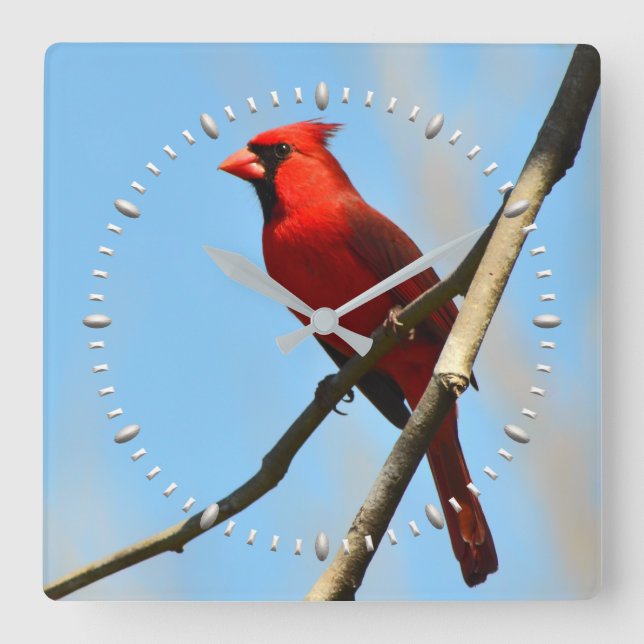 Reloj Cuadrado Cardinal Clock by Julie Everhart (Anverso)