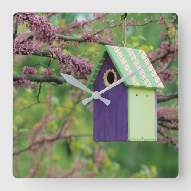 Reloj Cuadrado Casa De Aves En Un Árbol Redbud (Anverso)