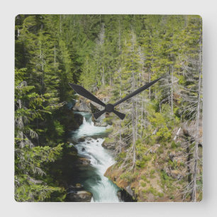Reloj Cuadrado Cascada en el bosque nacional olímpico
