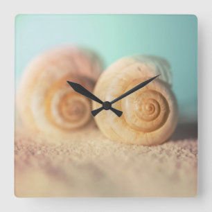 Reloj Cuadrado Cáscaras del nautilus en la playa