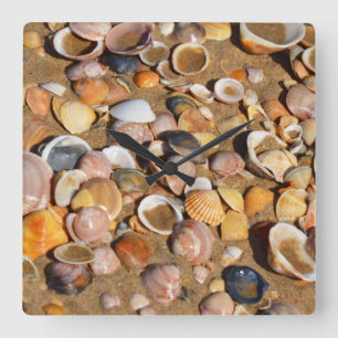 Reloj Cuadrado Cáscaras en una playa de Sandy el Andalucía,