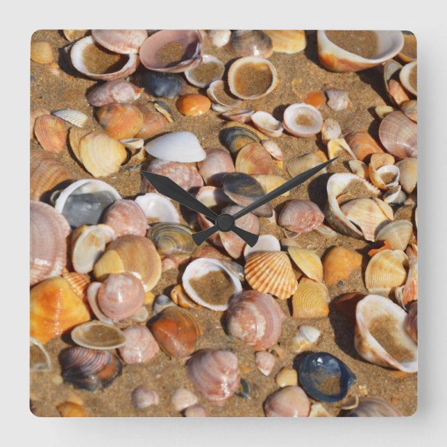 Reloj Cuadrado Cáscaras en una playa de Sandy el | Andalucía, (Anverso)