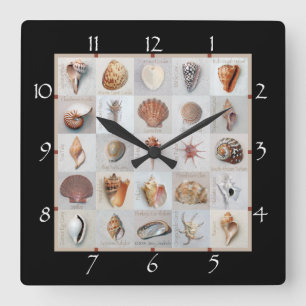 Reloj Cuadrado Cáscaras sofisticadas
