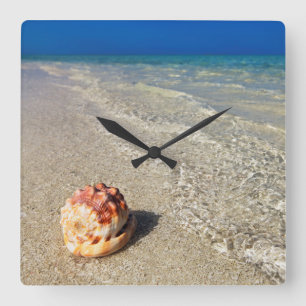 Reloj Cuadrado Casco Shell en el Lagoon  tropical Cassis Rufa