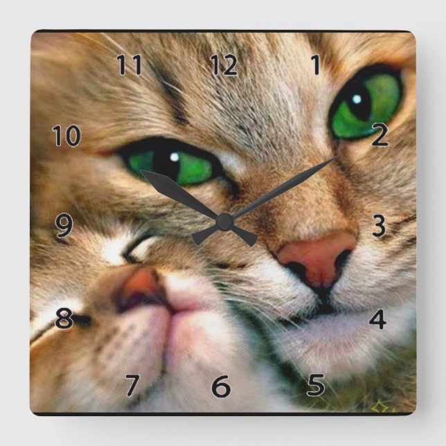 Reloj Cuadrado Cat Lovers Wall Clock (Anverso)
