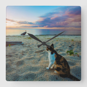 Reloj Cuadrado Cat Sitting On A Beach
