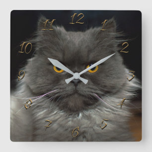 Reloj Cuadrado Catito