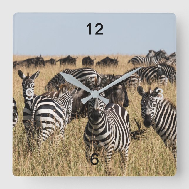 Reloj Cuadrado Cebra de Grant (Anverso)