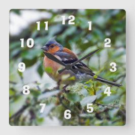 Reloj Cuadrado Chaffinch Acrylic wall clock