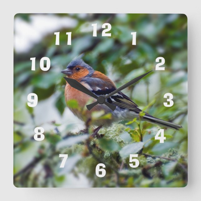 Reloj Cuadrado Chaffinch Acrylic wall clock (Anverso)