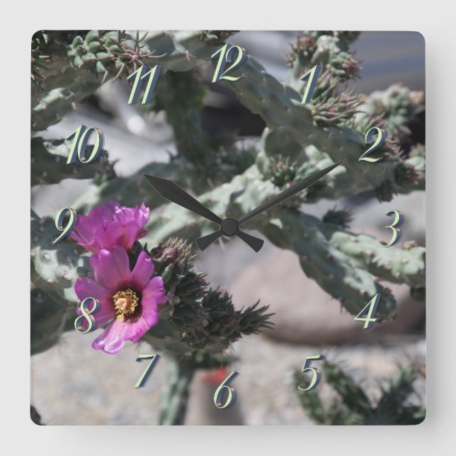 Reloj Cuadrado Challa Cactus en floración (Anverso)