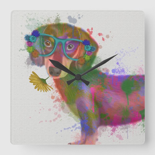 Reloj Cuadrado Chapoteo del Dachshund y del arco iris de los (Anverso)