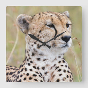 Reloj Cuadrado Cheetah
