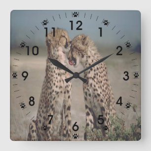 Reloj Cuadrado Cheetah Love