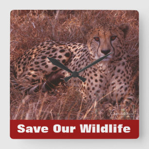 Reloj Cuadrado Cheetah Stare