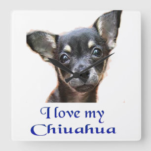 Reloj Cuadrado Chihuahua clock