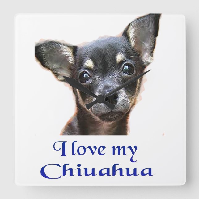 Reloj Cuadrado Chihuahua clock (Anverso)