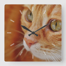 Reloj Cuadrado Cierre anaranjado lindo de la cara del gato de