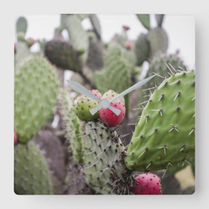 Reloj Cuadrado Cierre De Cactus Pear Págicos