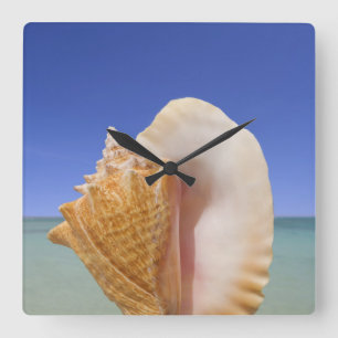 Reloj Cuadrado Cierre de Shell del mar para arriba