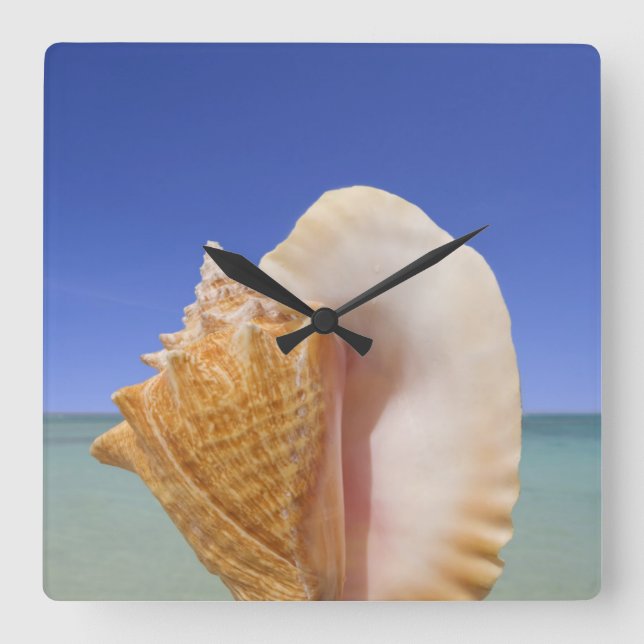 Reloj Cuadrado Cierre de Shell del mar para arriba (Anverso)