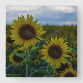 Reloj Cuadrado Cierre de Sunflower Duo