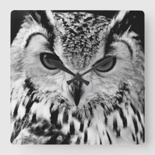 Reloj Cuadrado Ciérrese encima del retrato del Eagle-búho