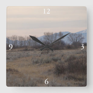 Reloj Cuadrado Ciervo Mulo D4 y Colinas de Sweet Grass