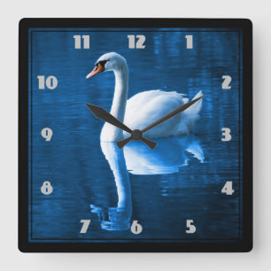Reloj Cuadrado cisne blanco bonito flotando en un lago azul