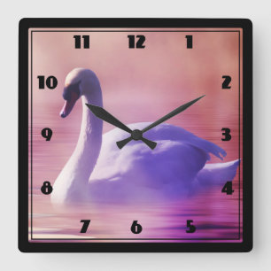 Reloj Cuadrado Cisne blanco flotando en un lago polvoriento