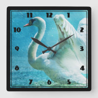 Cisne mágico durante una ducha del verano