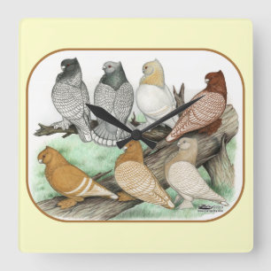 Reloj Cuadrado Clásico Frill Pigeons Blondinettes